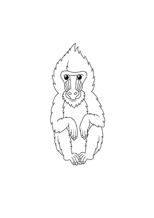 Coloriage d'un Mandrill