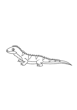 Coloriage d'un Reptile