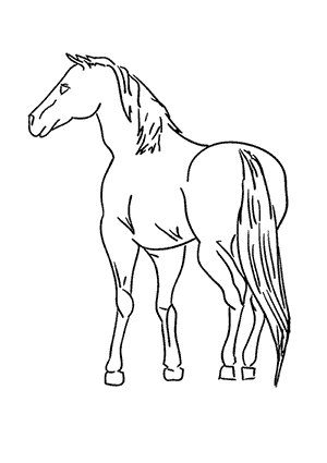 Coloriage d'un Cheval Adulte