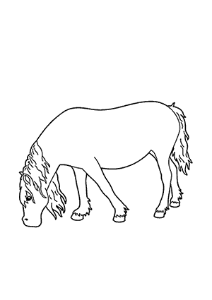 Coloriage d'un Cheval Sauvage