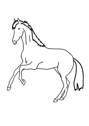 Coloriage d'un Cheval qui Saute