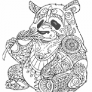 Coloriage adultes panda assis qui mange un bambou