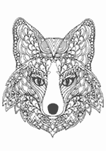 Coloriage Adulte - Tête De Renard