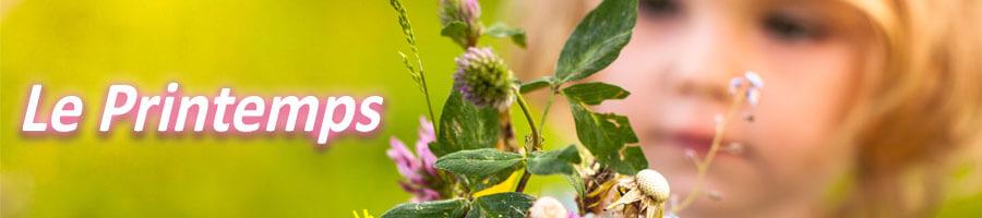 Des Activités sur le Thème du Printemps